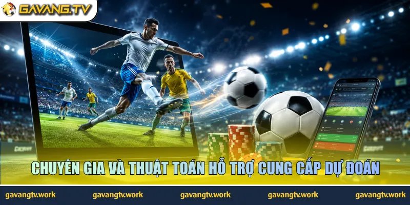 Chuyên gia và thuật toán hỗ trợ cung cấp dự đoán