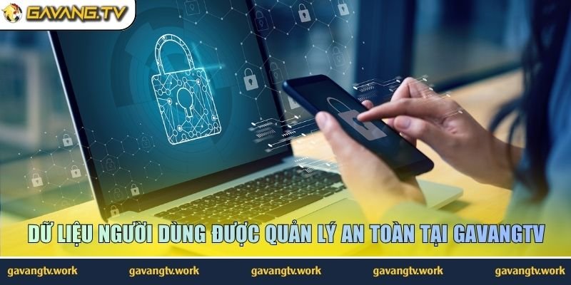 Dữ liệu người dùng được quản lý an toàn tại GavangTV