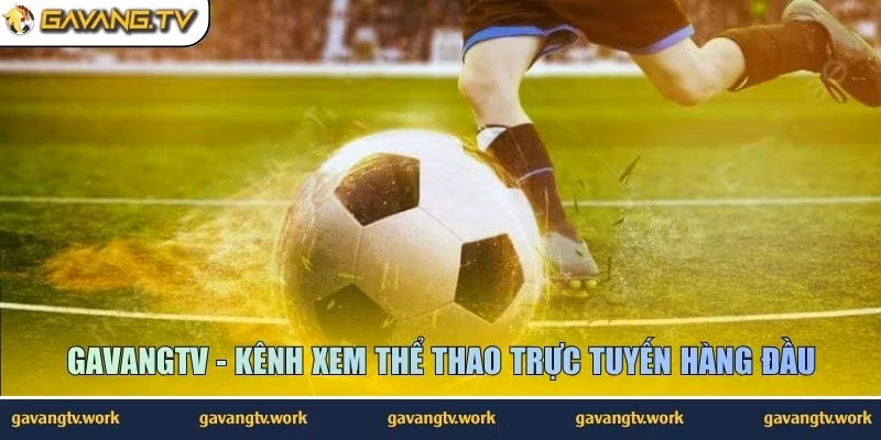 GavangTV - Kênh xem thể thao trực tuyến hàng đầu
