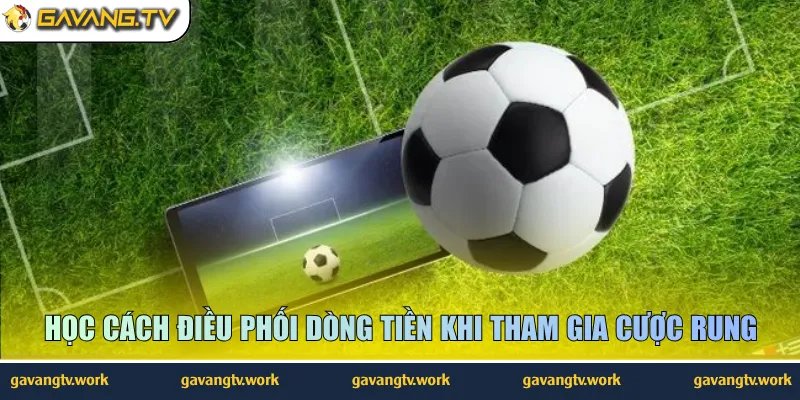 Học cách điều phối dòng tiền khi tham gia cược rung