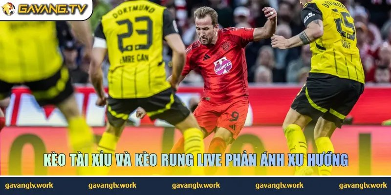 Kèo tài xỉu và kèo rung live phản ánh xu hướng