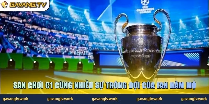 Sân chơi C1 cùng nhiều sự trông đợi của fan hâm mộ