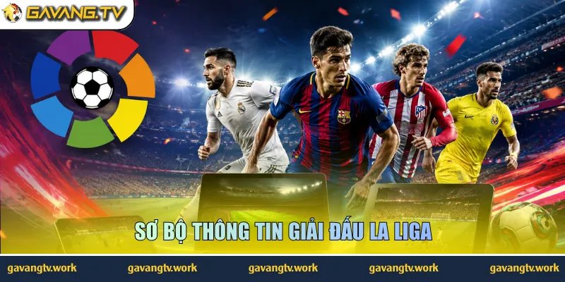 Sơ bộ thông tin giải đấu La Liga