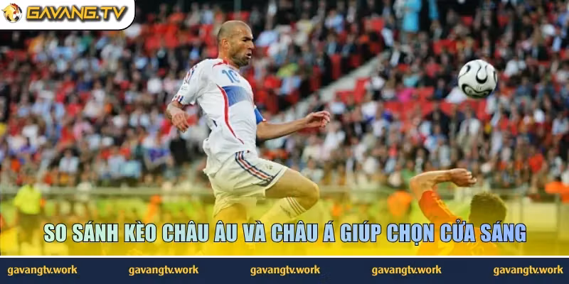 So sánh kèo châu Âu và châu Á giúp chọn cửa sáng