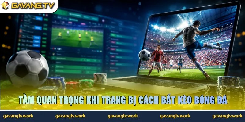 Tầm quan trọng khi trang bị cách bắt kèo bóng đá