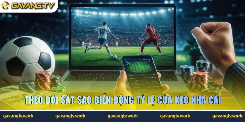 Theo dõi sát sao biến động tỷ lệ của kèo nhà cái